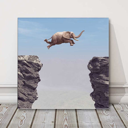 Elephant, jumping rocks funny canvas picture print
