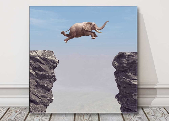 Elephant, jumping rocks funny canvas picture print