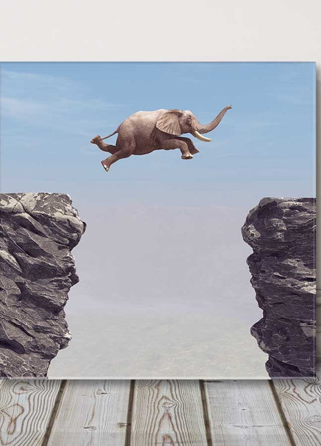 Elephant, jumping rocks funny canvas picture print