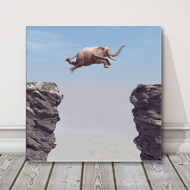 Elephant, jumping rocks funny canvas picture print