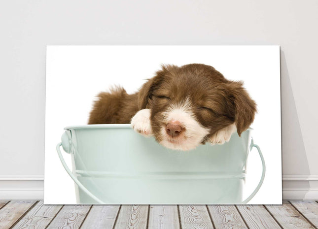 Border Collie Puppy sleeping in a bucket canvas picture print photograph