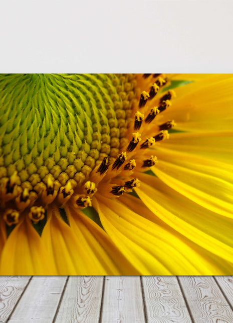 Sunflower close up bright and yellow canvas picture print