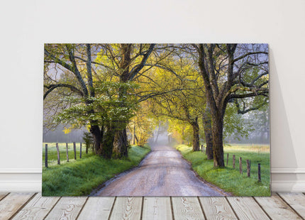 Tree lined path. Seasonal colours. Canvas picture Print.