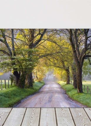 Tree lined path. Seasonal colours. Canvas picture Print.