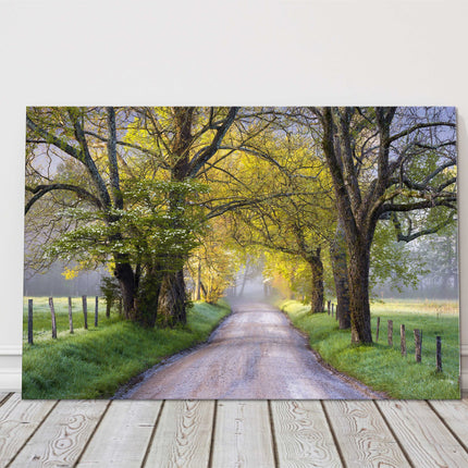 Tree lined path. Seasonal colours. Canvas picture Print.