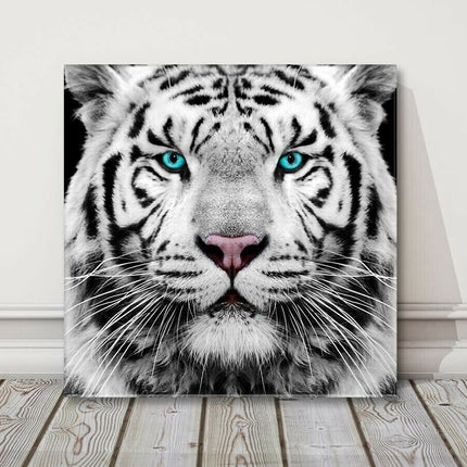 White Siberian Tiger, canvas picture print. A choice of sizes available Wall Art