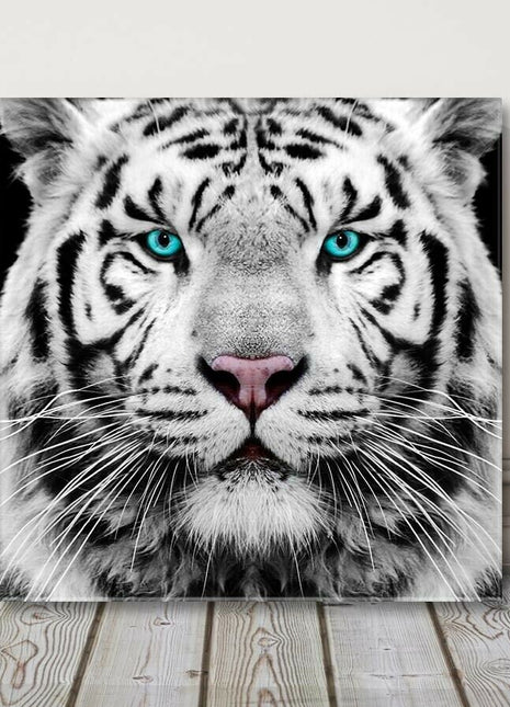 White Siberian Tiger, canvas picture print. A choice of sizes available Wall Art