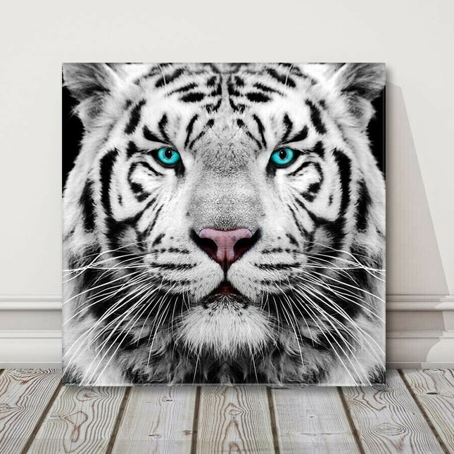 White Siberian Tiger, canvas picture print. A choice of sizes available Wall Art