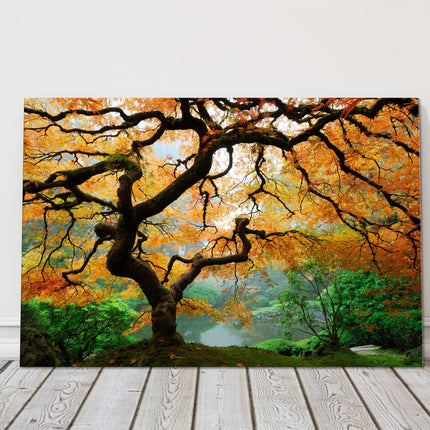 stunning maple tree autumn colours canvas picturep print landscape