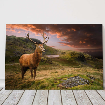 Red deer stag in the sunset on a mountain landscape canvas picture print