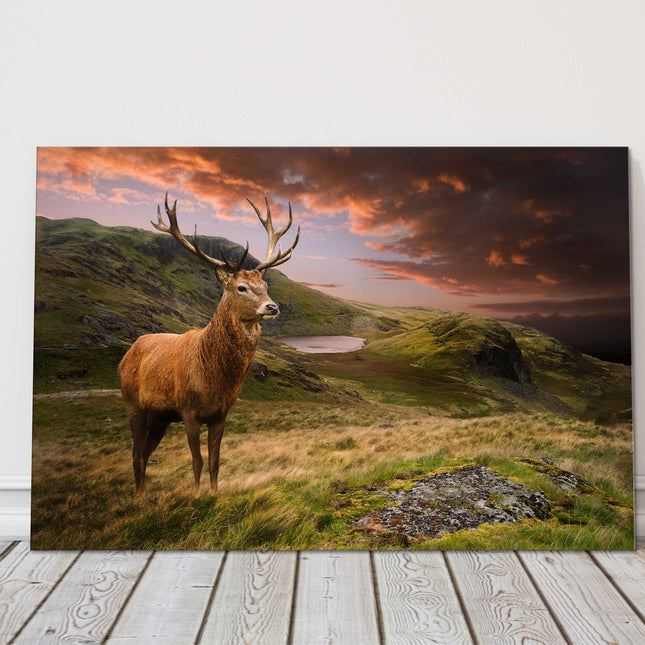 Red deer stag in the sunset on a mountain landscape canvas picture print