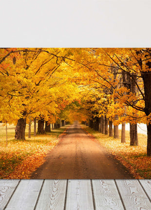 Autumnal trees. Seasonal colours. Canvas picture print landscape