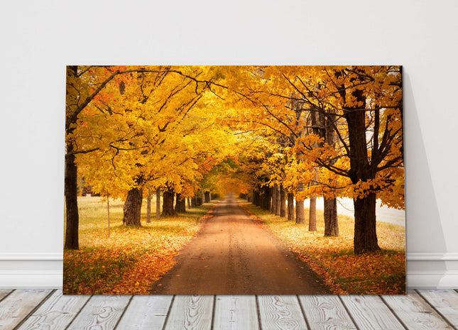 Autumnal trees. Seasonal colours. Canvas picture print landscape