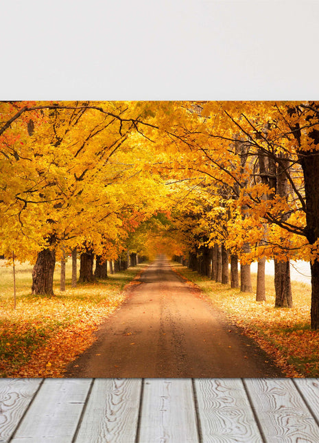 Autumnal trees. Seasonal colours. Canvas picture print landscape