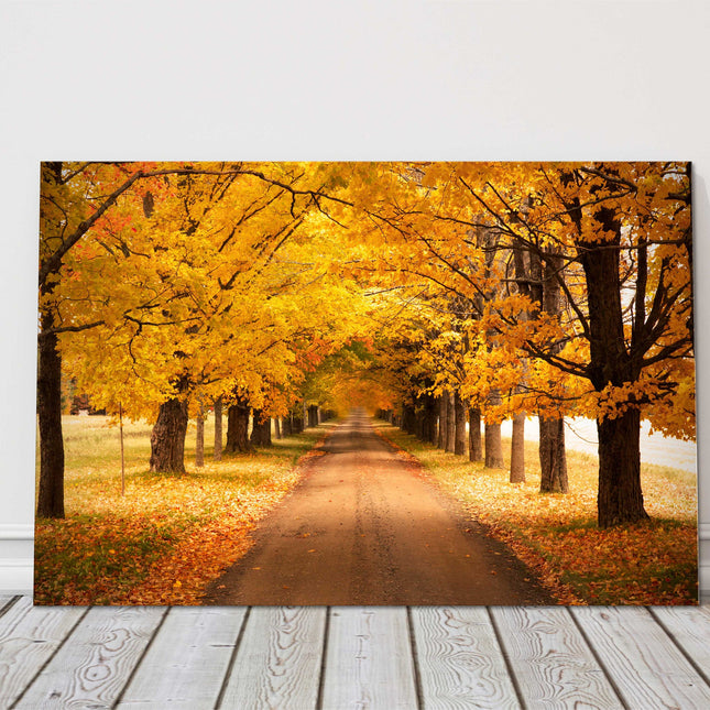 Autumnal trees. Seasonal colours. Canvas picture print landscape