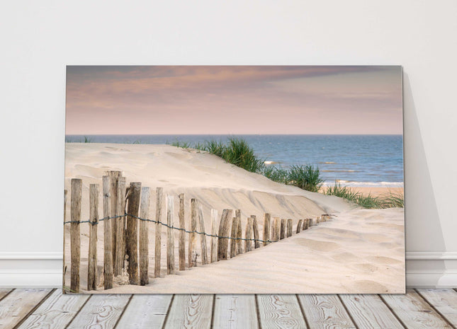 Grassy sand dunes, at sunrise. Canvas picture print beach scene