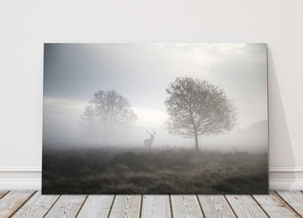 Stag in foggy Autumn landscape. Canvas picture Print.