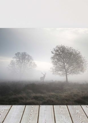 Stag in foggy Autumn landscape. Canvas picture Print.