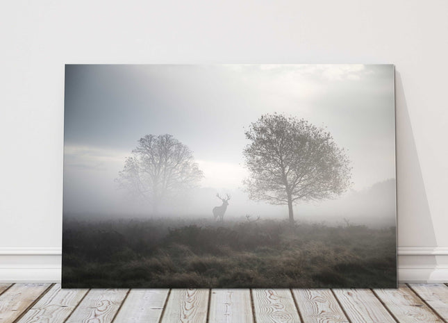 Stag in foggy Autumn landscape. Canvas picture Print.