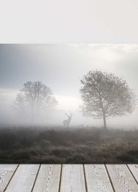 Stag in foggy Autumn landscape. Canvas picture Print.
