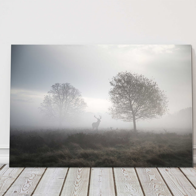 Stag in foggy Autumn landscape. Canvas picture Print.