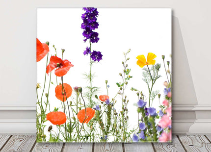 Wild Flowers canvas picture print. Colourful flowers on a white background.