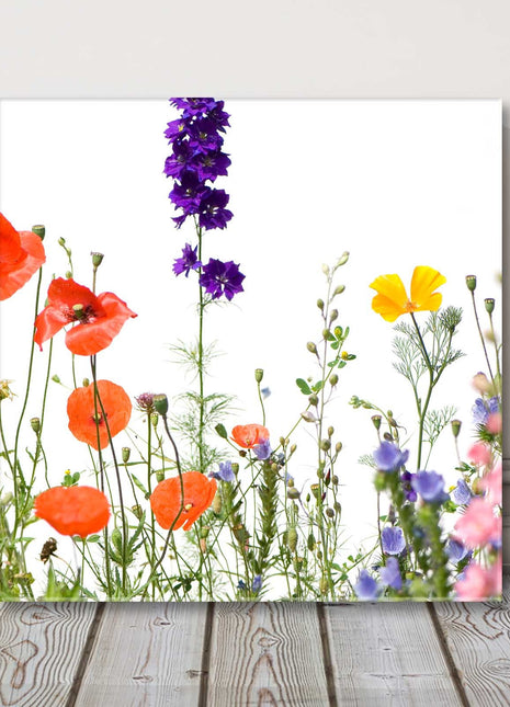 Wild Flowers canvas picture print. Colourful flowers on a white background.