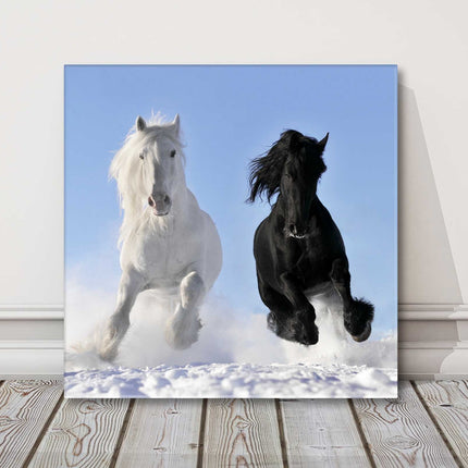 black and white horses racing in the snow canvas picture print square