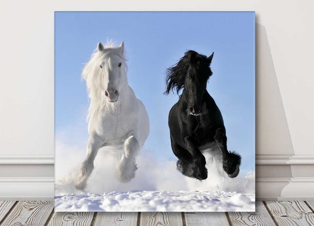 black and white horses racing in the snow canvas picture print square
