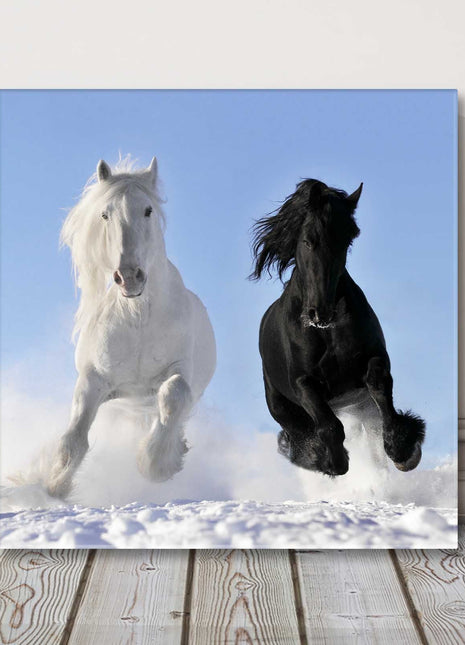 black and white horses racing in the snow canvas picture print square