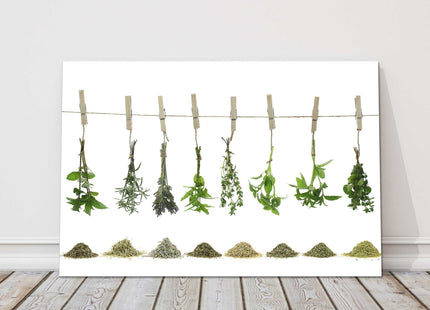Fresh Herbs hanging. Printed on a white background, canvas picture print.