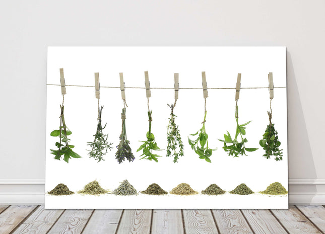 Fresh Herbs hanging. Printed on a white background, canvas picture print.