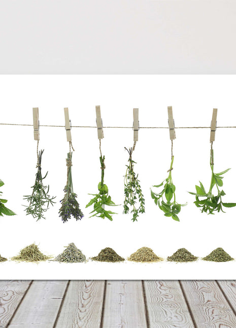 Fresh Herbs hanging. Printed on a white background, canvas picture print.