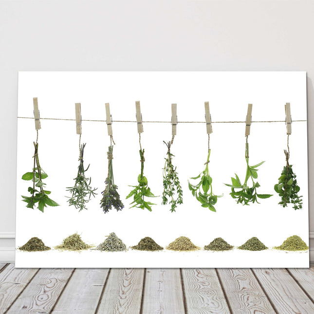 Fresh Herbs hanging. Printed on a white background, canvas picture print.