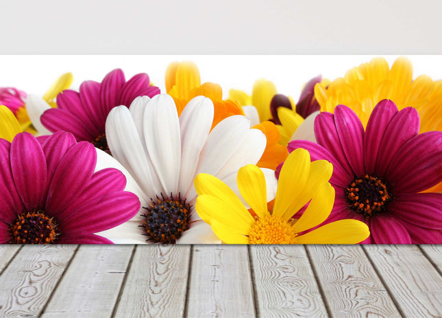Colourful Spring daisy panoramic canvas picture print