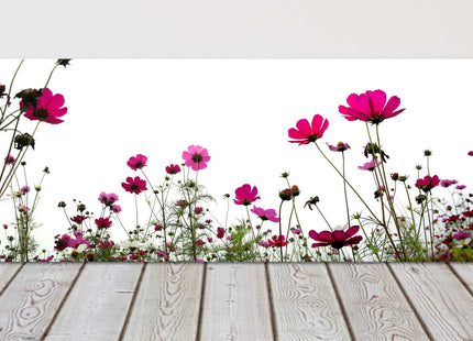 Pink wild flowers on a white background, panoramic canvas picture print. Vibrant
