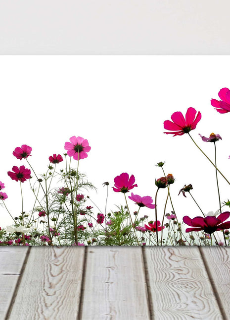 Pink wild flowers on a white background, panoramic canvas picture print. Vibrant