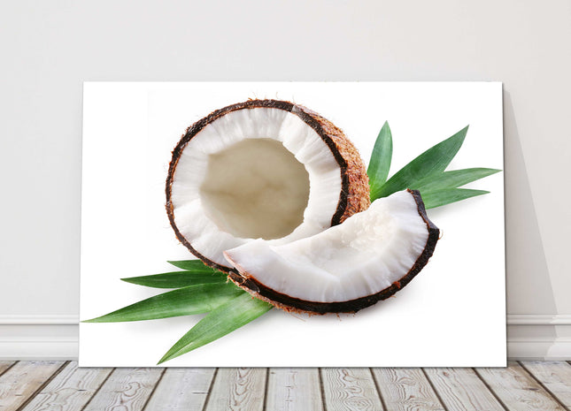 Image of a Coconut on a white background. Exotic fruit, tropical fruit. Canvas picture print on a white background.