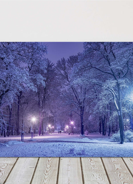 Winter scene canvas picture print night scene landscape