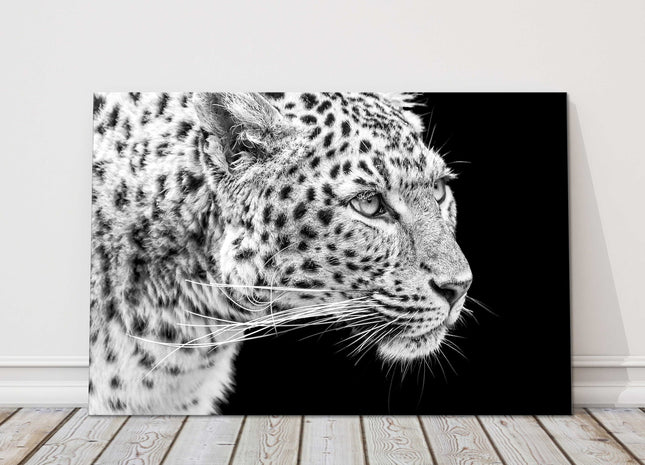 Leopard portait style, printed in black and white. Canvas picture print.
