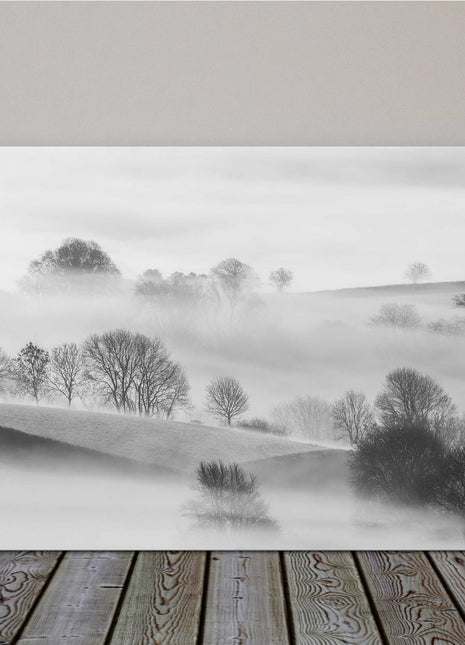 misty fields and trees black and white landscape canvas picture print