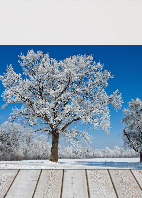 Frosty scenery. Bright blue sky on a frosty winter day. Canvas Print.