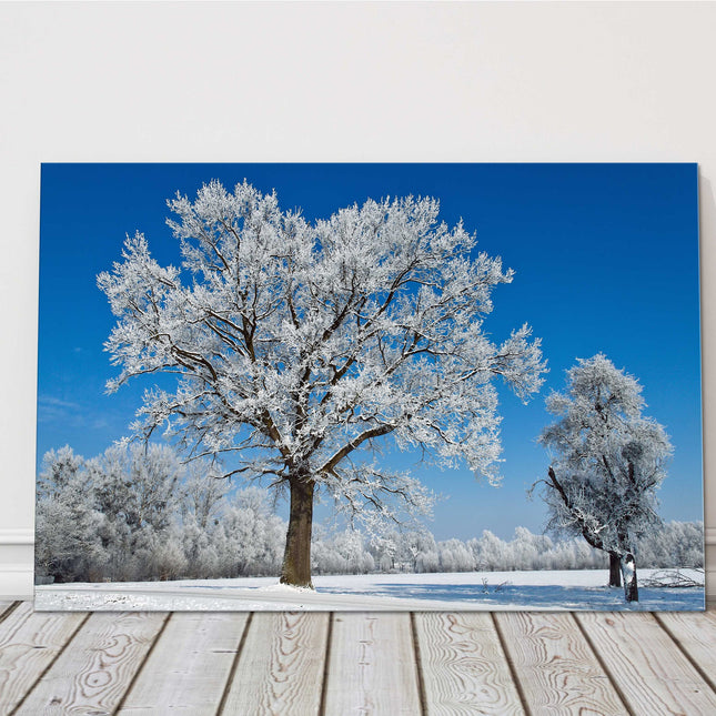 Frosty scenery. Bright blue sky on a frosty winter day. Canvas Print.