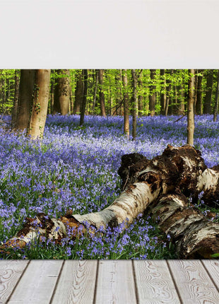 Bluebells in the forest. Printed and framed as a canvas picture print.