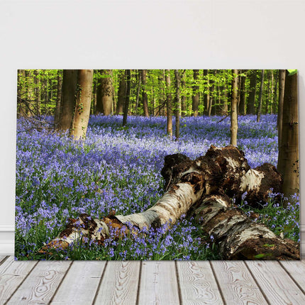 Bluebells in the forest. Printed and framed as a canvas picture print.