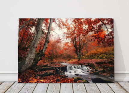 red Autumn forest, woodland landscape. Canvas picture print