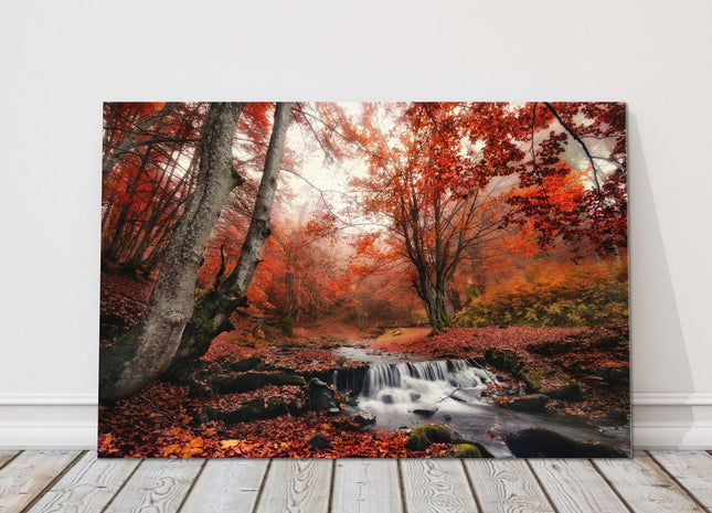 red Autumn forest, woodland landscape. Canvas picture print