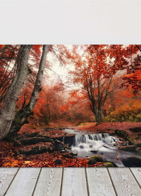 red Autumn forest, woodland landscape. Canvas picture print