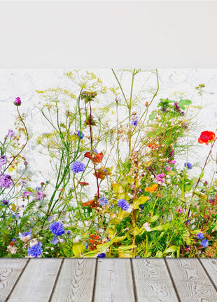 Wild flowers and grasses on white background, printed canvas picture print.