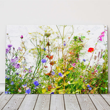 Wild flowers and grasses on white background, printed canvas picture print.